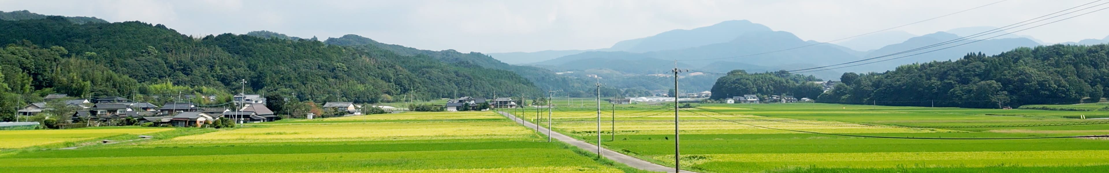 想いが詰まったこだわりのお米
