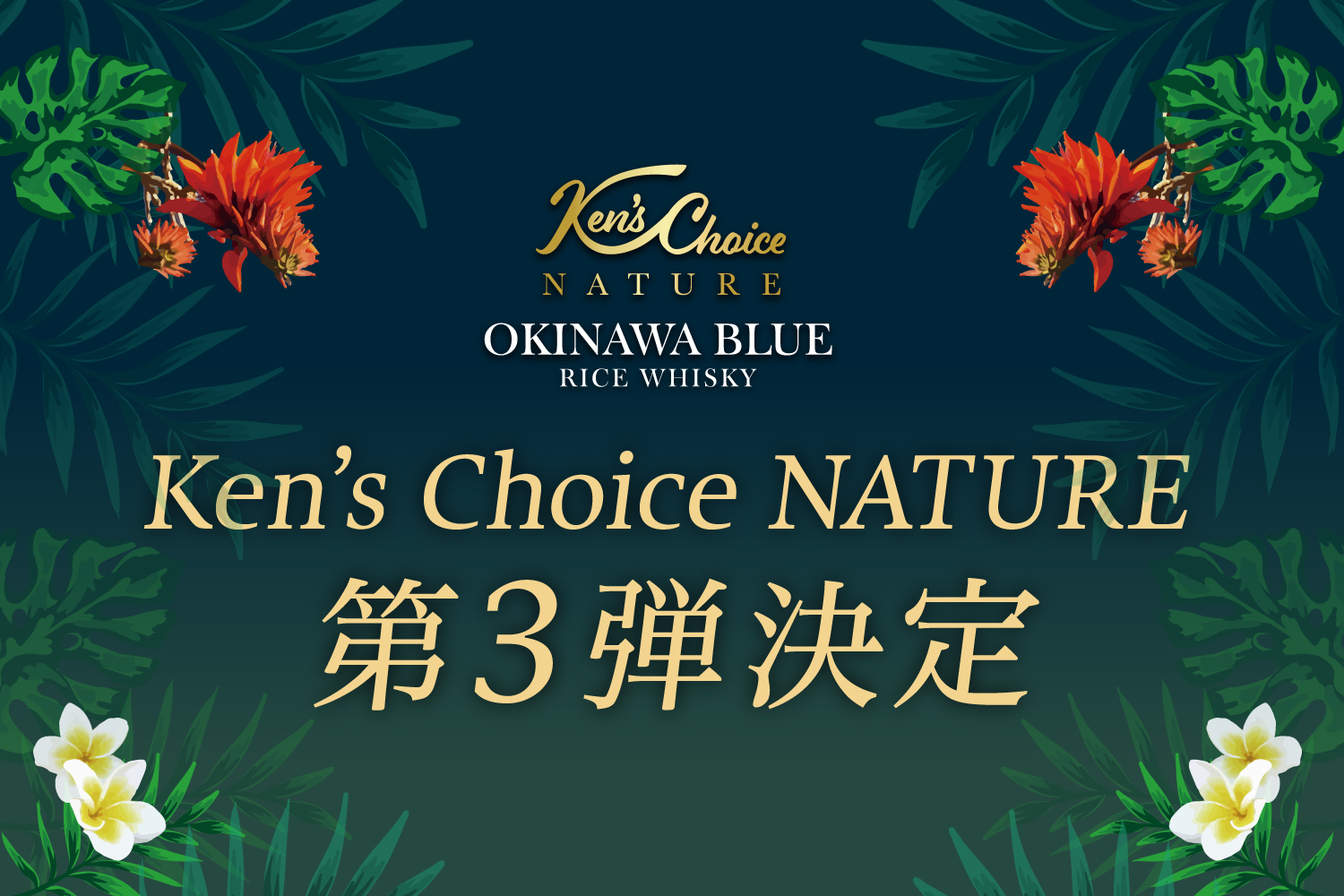 Ken’s Choice NATURE 第３弾決定！