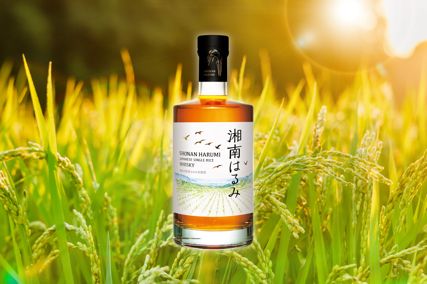 【11月27日発売！】湘南はるみウイスキーの味わい