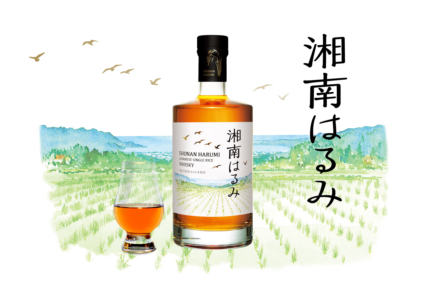 神奈川県産米「はるみ」でつくる新しいウイスキー発売開始